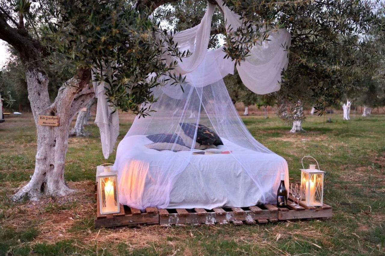 Glamping At A Lovely Tent In Skiaxtro- Marathopoli Villa Dış mekan fotoğraf